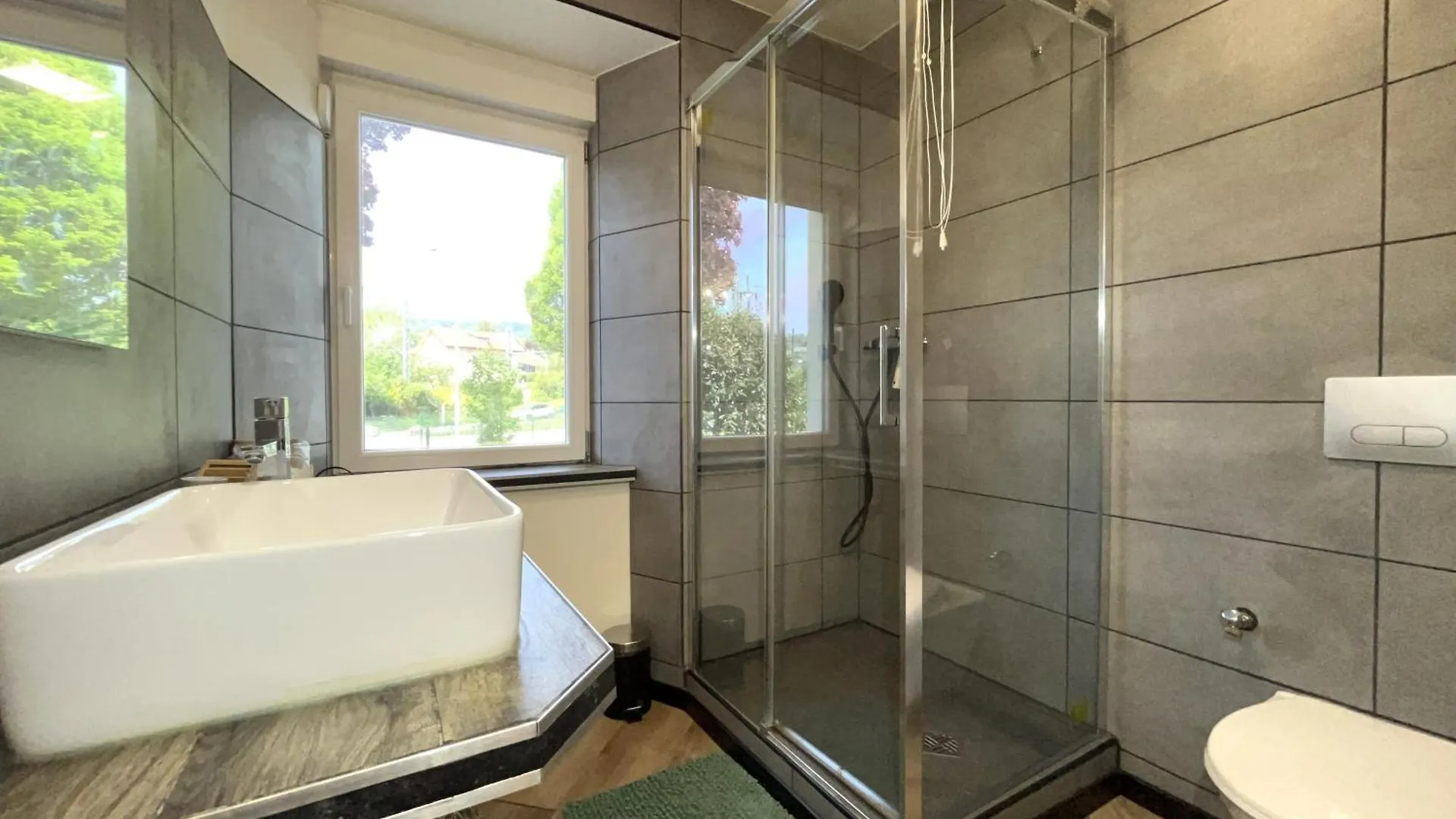Le Jaures 2 - Proche Gare Apartment La Roche-sur-Foron